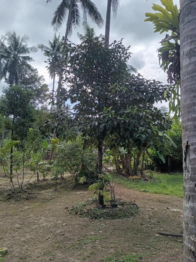Ko Kut Chom Suan Farmstay מראה חיצוני תמונה