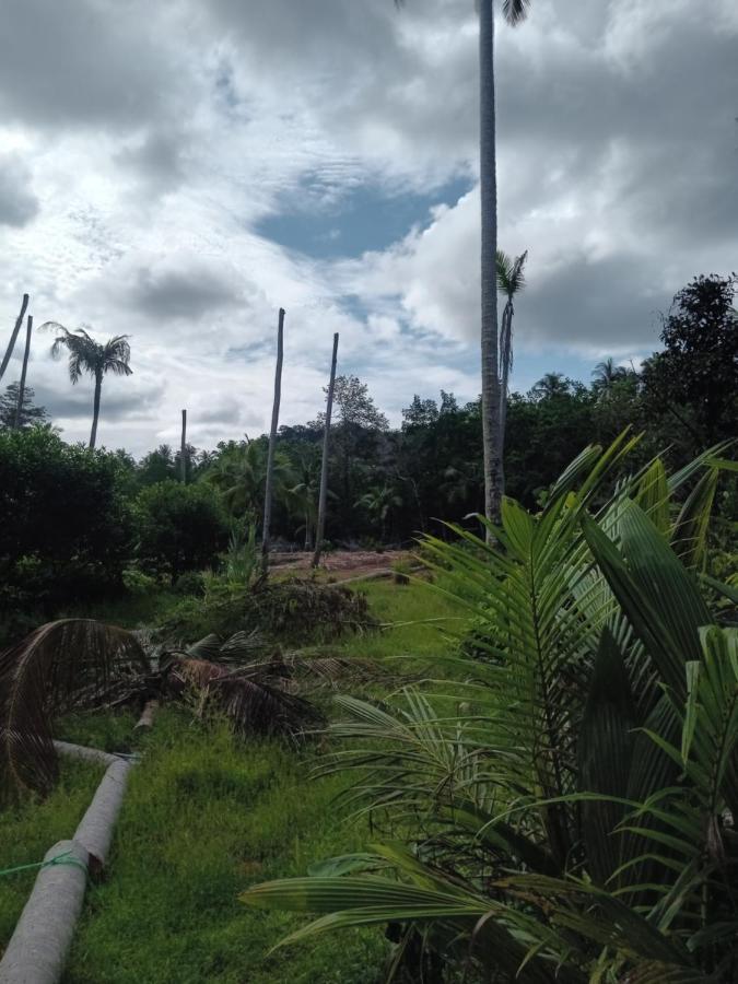 Ko Kut Chom Suan Farmstay מראה חיצוני תמונה