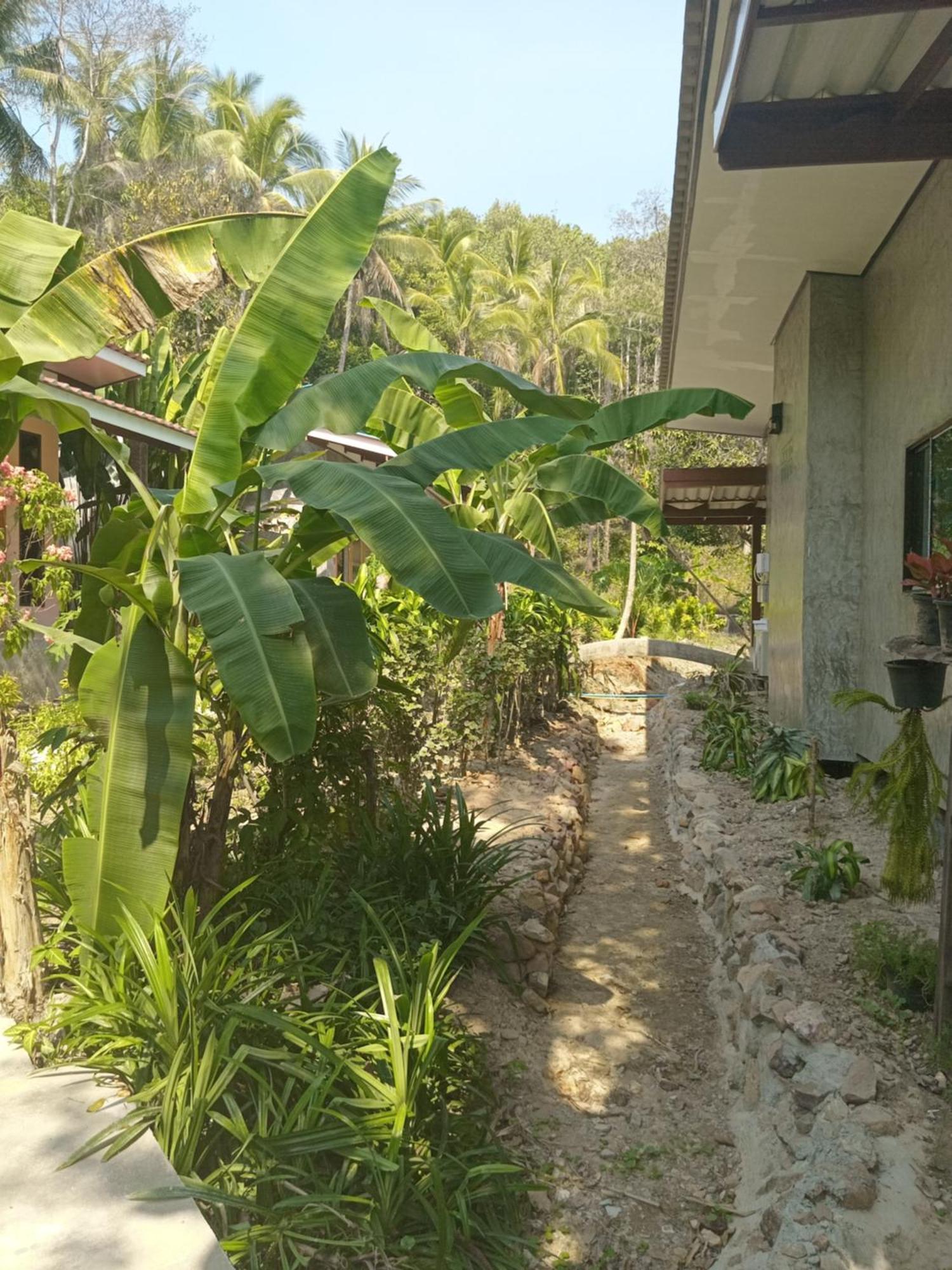 Ko Kut Chom Suan Farmstay מראה חיצוני תמונה
